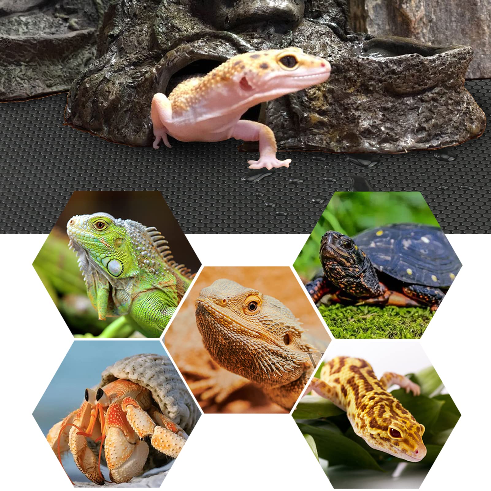 Vodolo gros plan sur la texture PVC antidérapante, protège les pattes du reptile
