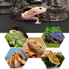Vodolo gros plan sur la texture PVC antidérapante, protège les pattes du reptile
