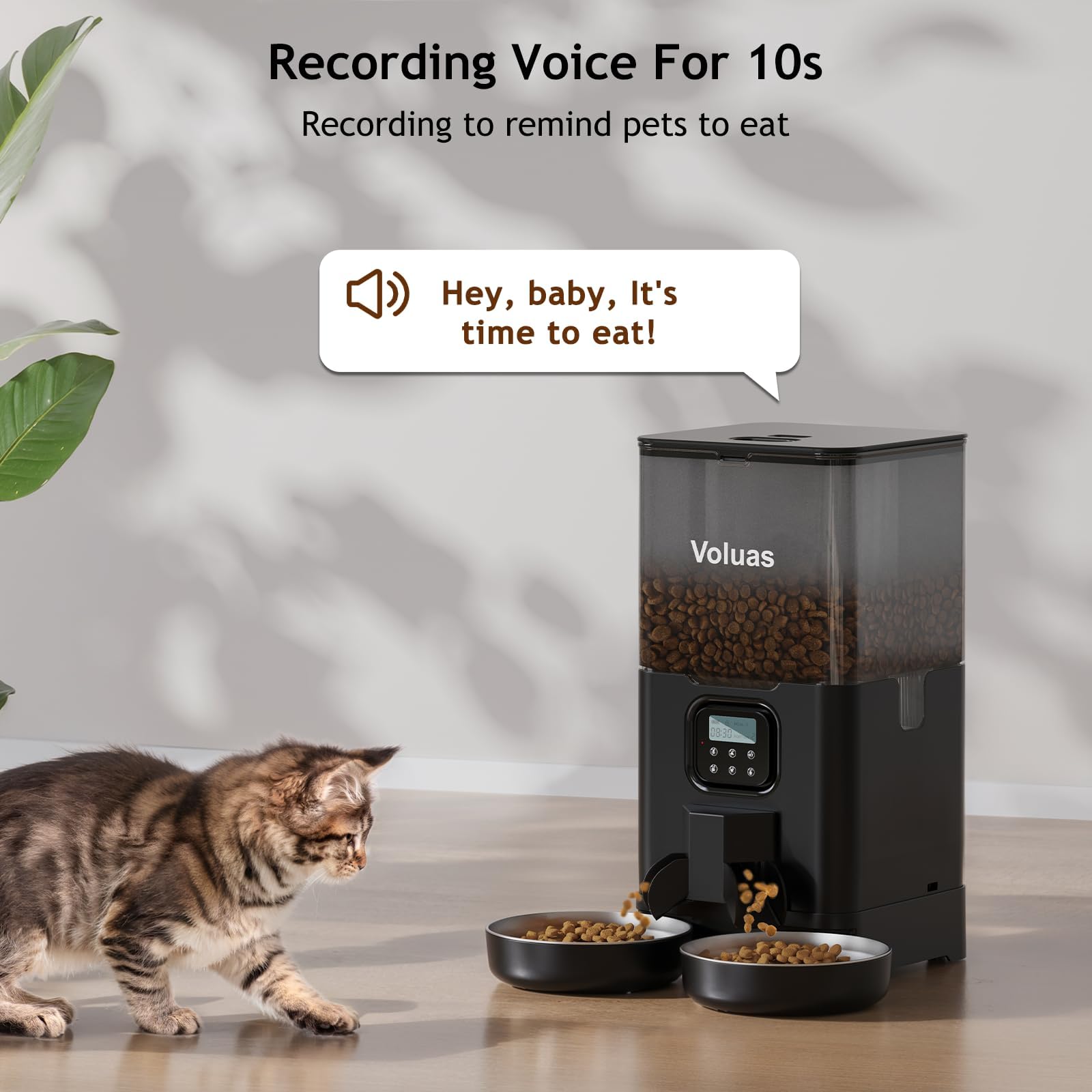 VOLUAS distributeur en action avec deux chats, distribution synchronisée des repas