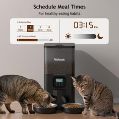 VOLUAS deux bols en acier, hygiène et nettoyage facile pour chats