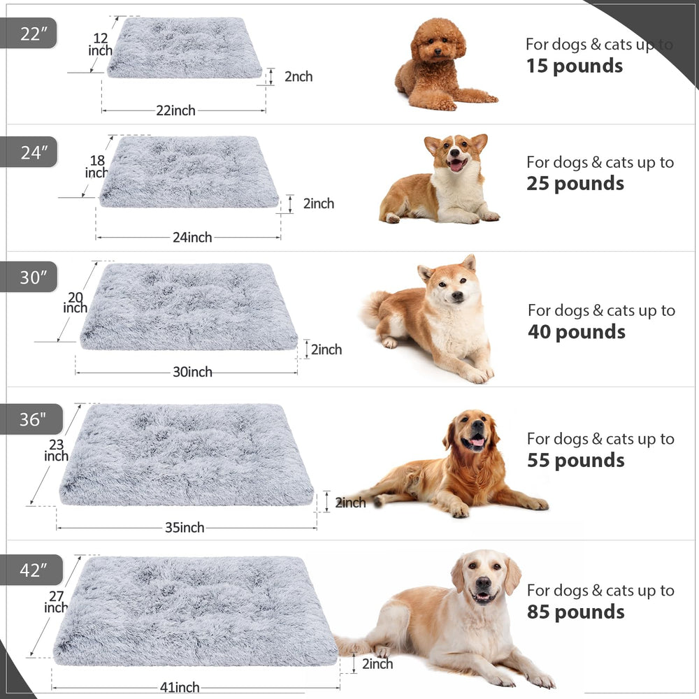 Vonabem comparaison d'échelle montrant dimensions et proportions