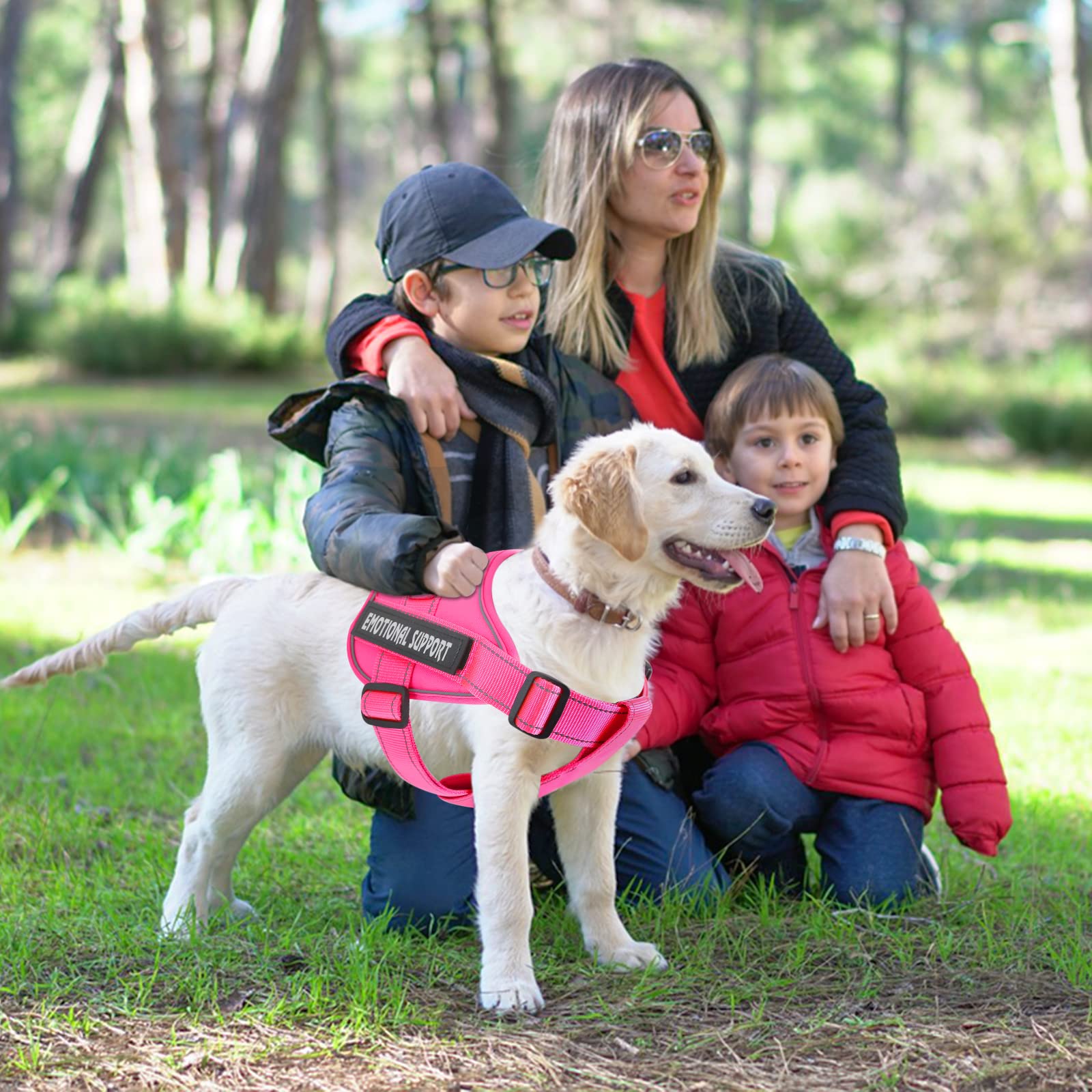 VOOPET chien portant harnais en promenade augmentant contrôle et sécurité