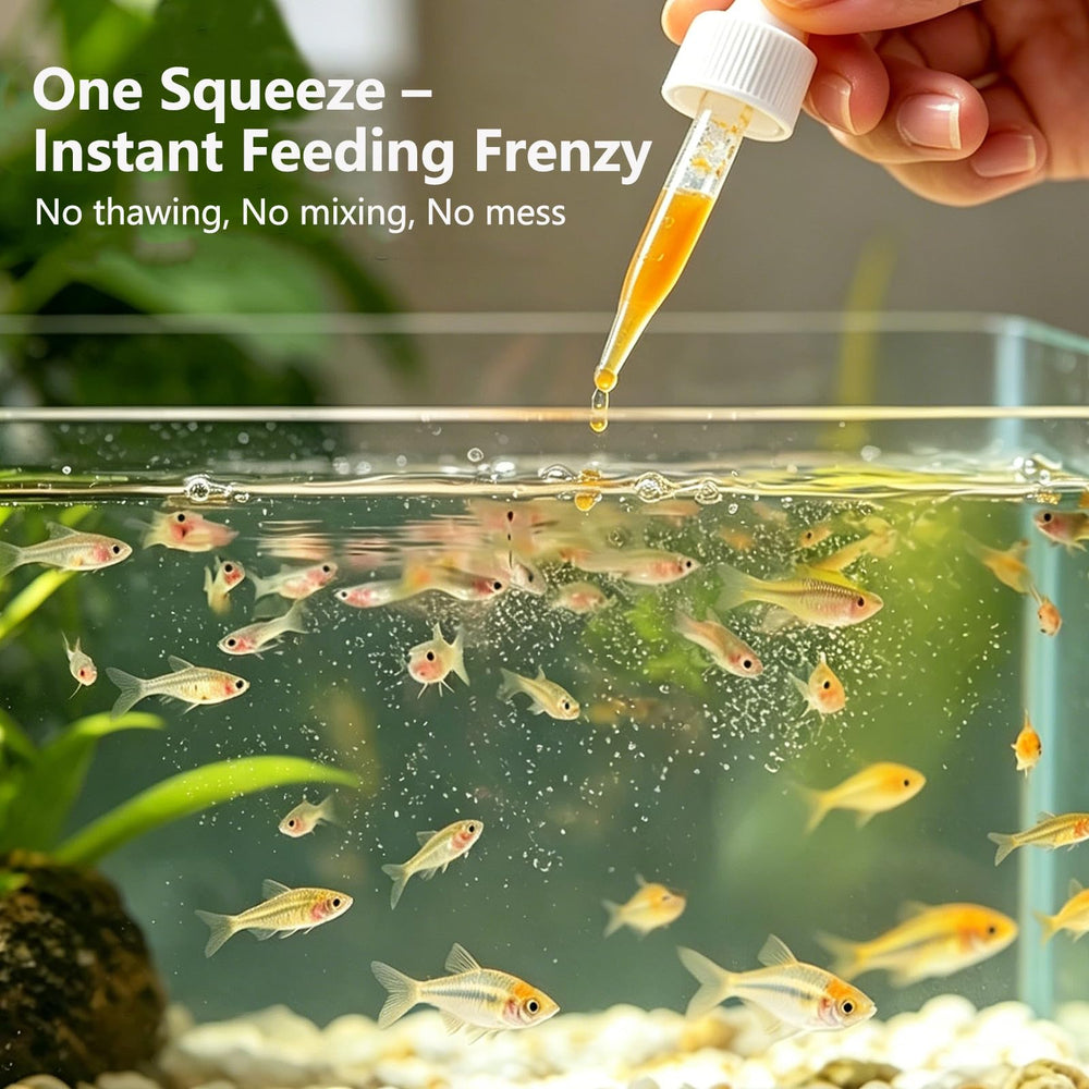 Vorenzyme nourrissant un betta jeune et améliorant la couleur