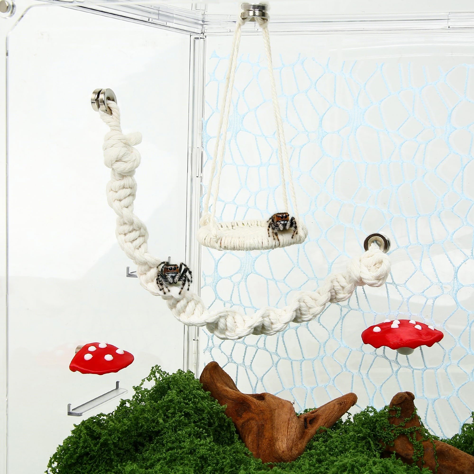 VORZOKISPL fixation magnétique installée dans terrarium, montage sans outils rapide