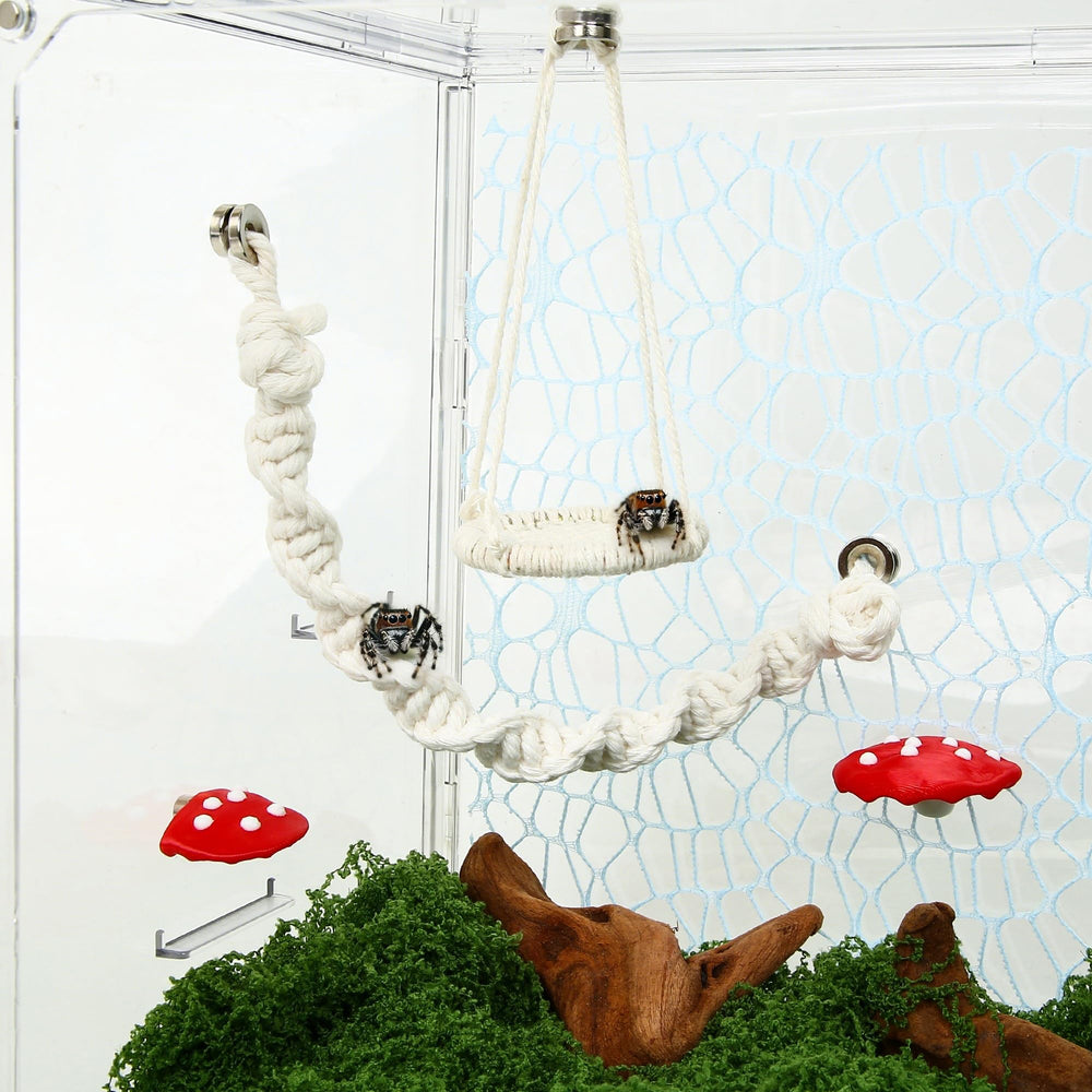 VORZOKISPL fixation magnétique installée dans terrarium, montage sans outils rapide