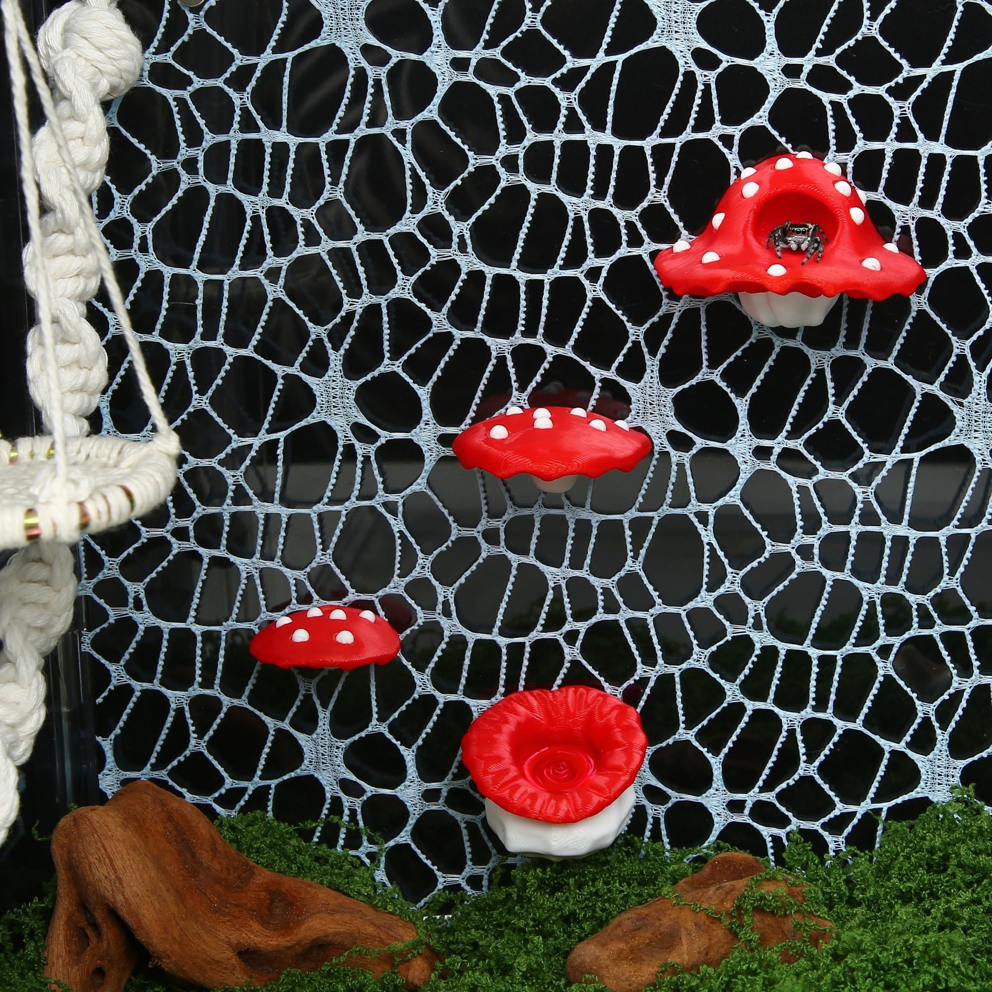 VORZOKISPL terrarium aménagé montrant décor féerique et confort animal