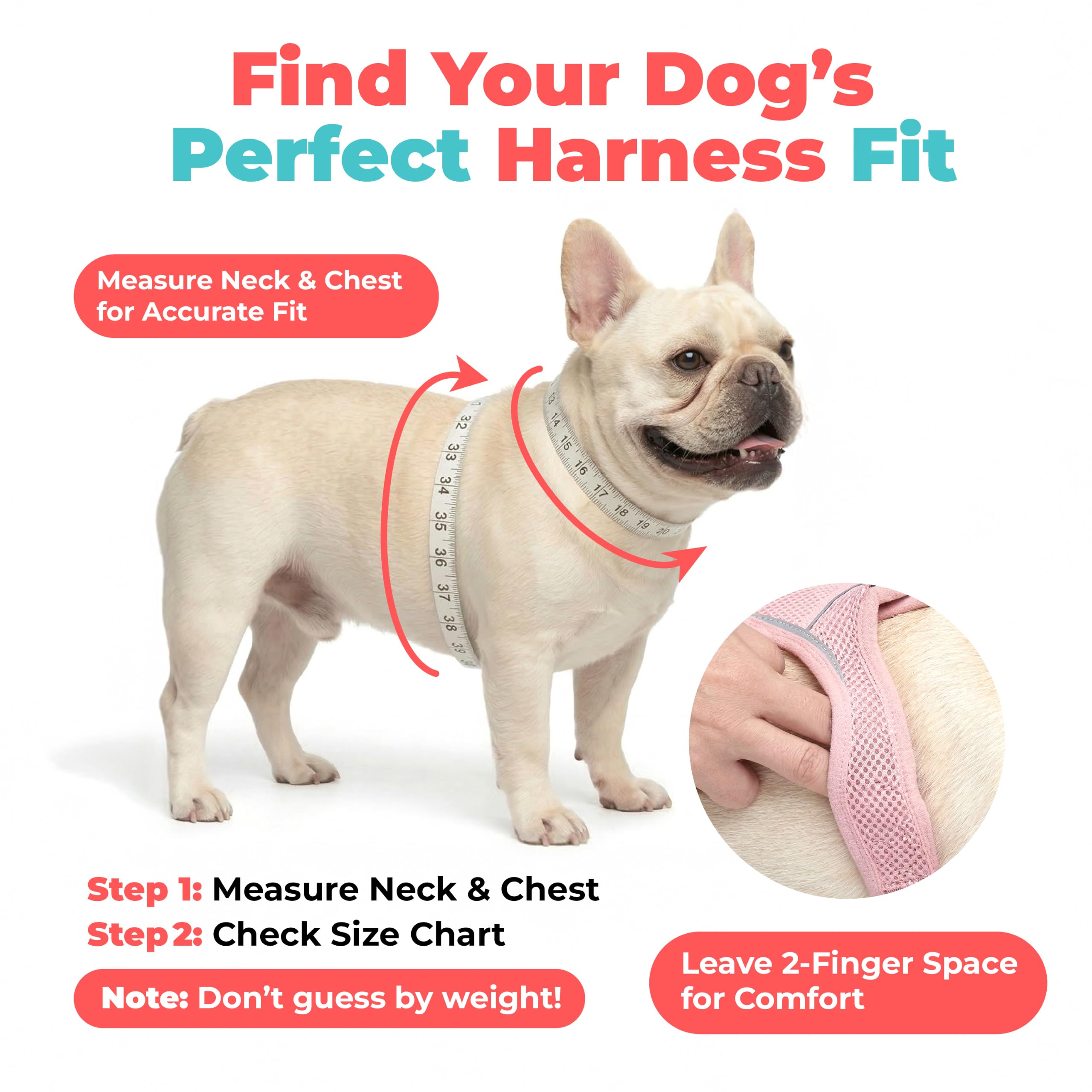 Best Pet Supplies harnais porté par chien, ajustement et confort