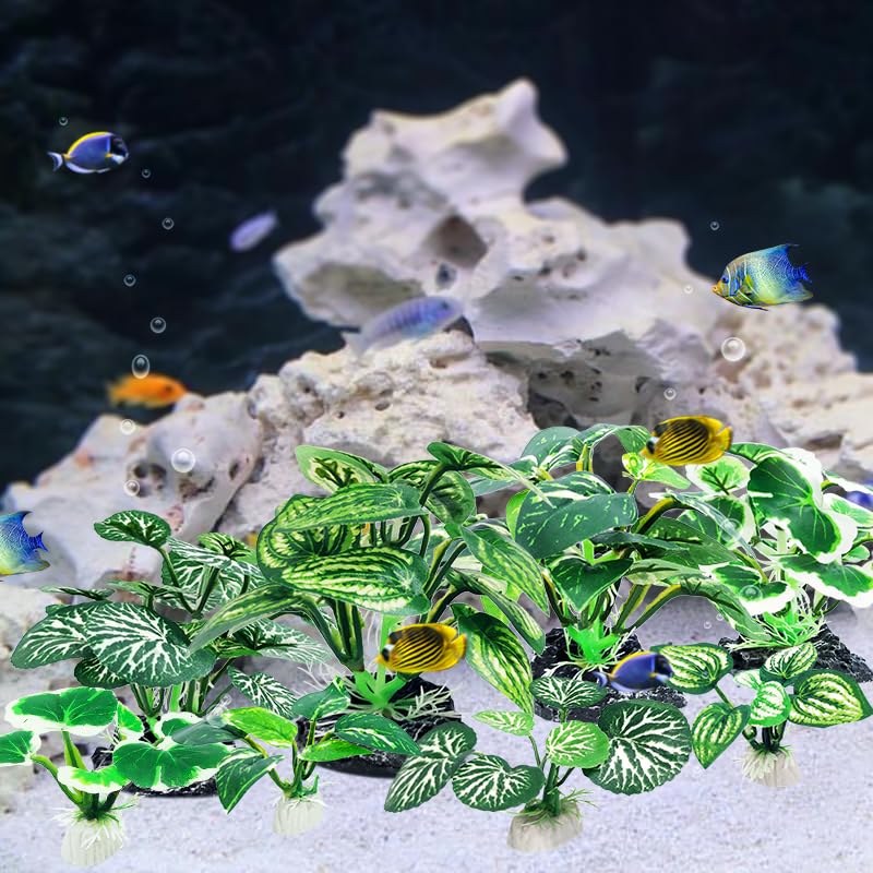 Vtapliea décoration installée en aquarium, aspect naturel immédiat