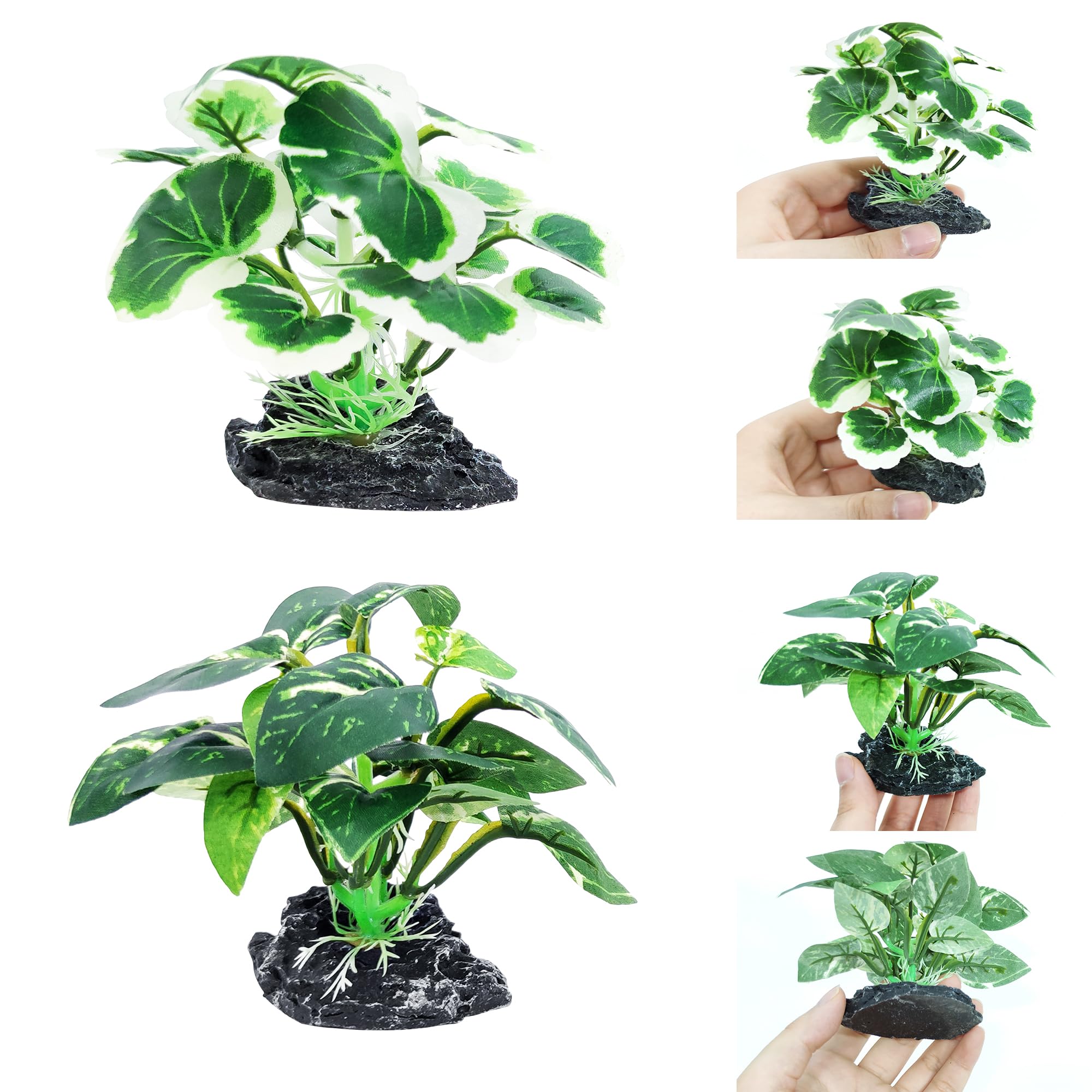 Vtapliea packaging du kit 8PCS, prêt à décorer l'aquarium