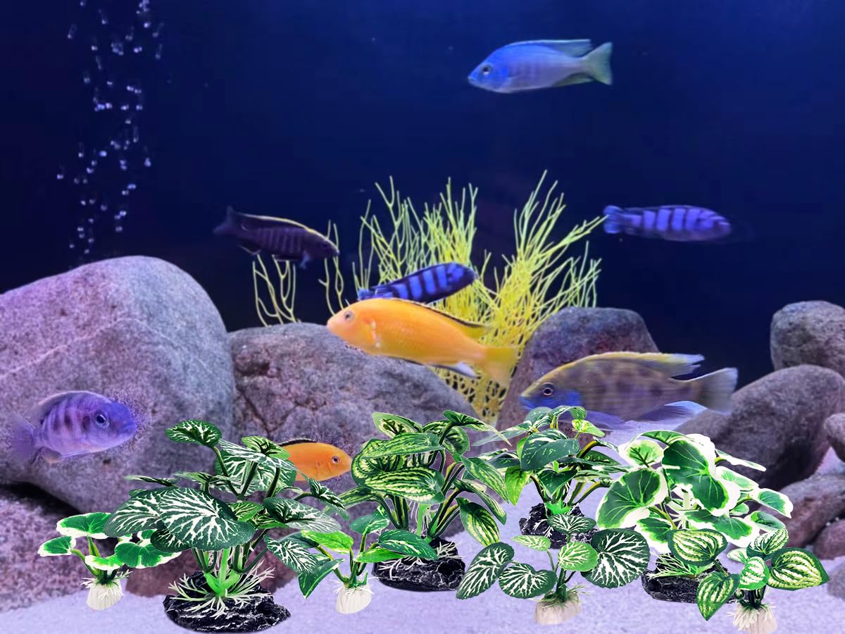 Vtapliea groupes de plantes formant cachettes, réduction du stress