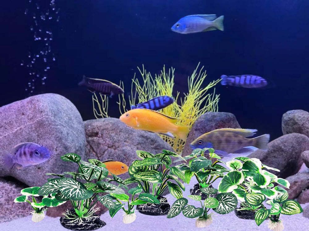 Vtapliea groupes de plantes formant cachettes, réduction du stress