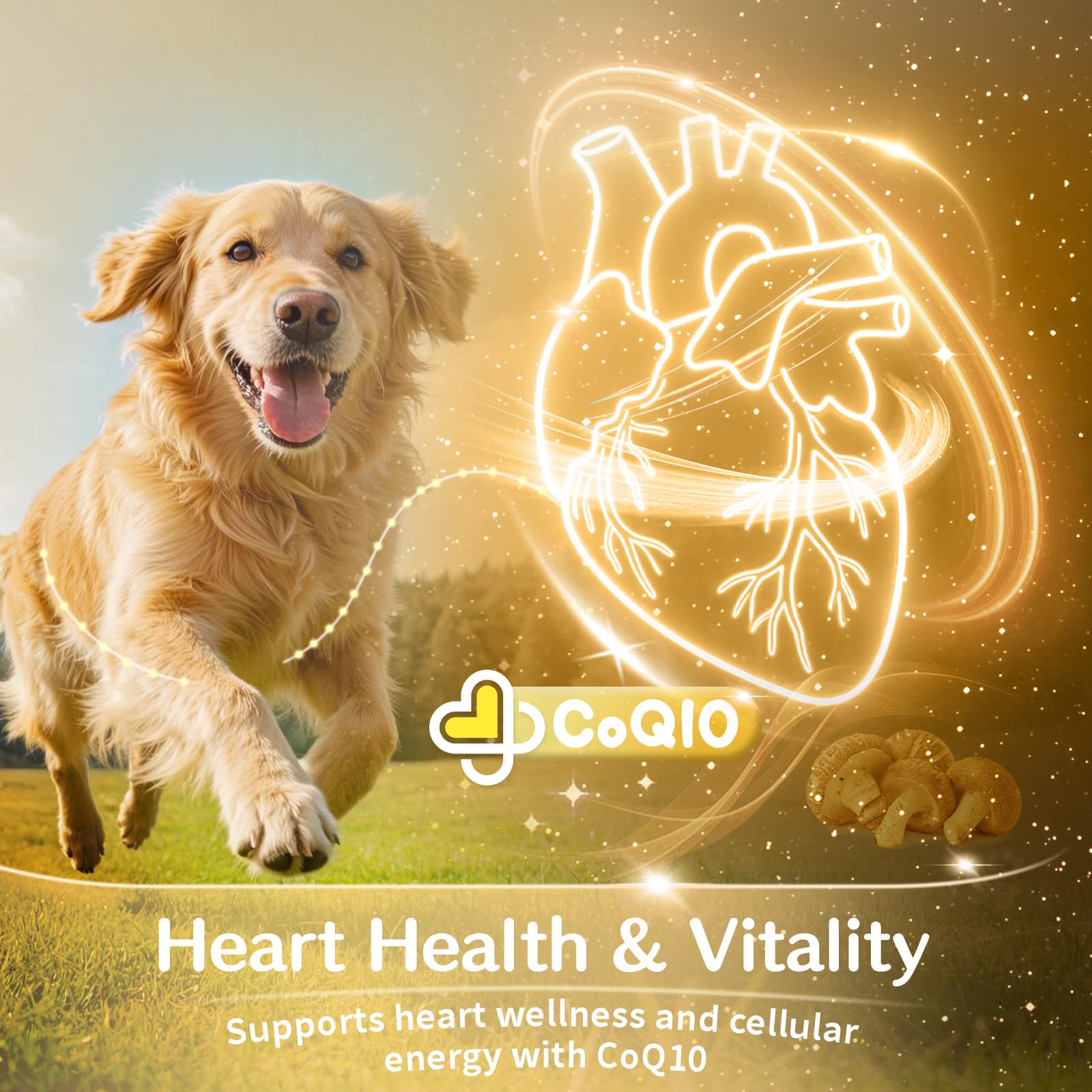 VUN bol avec portion pour chien comparé à une main pour échelle et dosage clair
