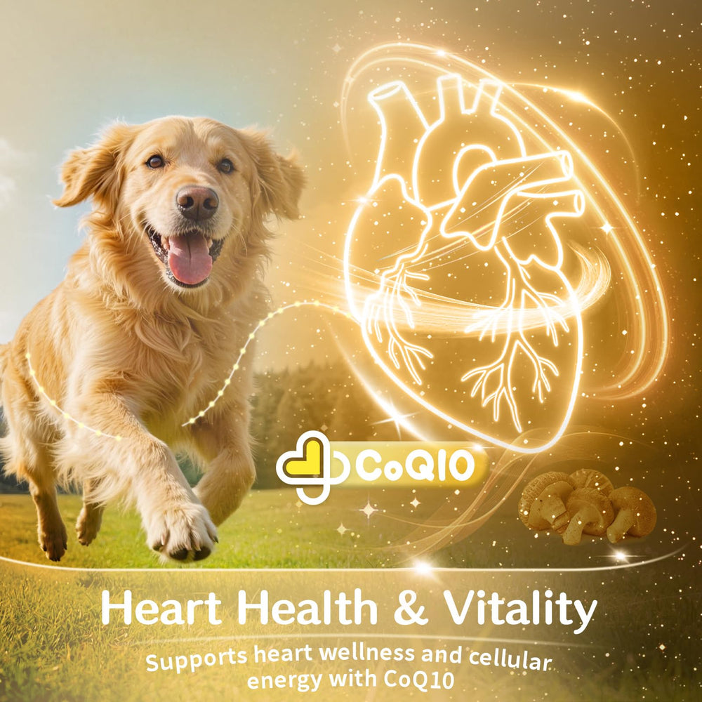 VUN bol avec portion pour chien comparé à une main pour échelle et dosage clair