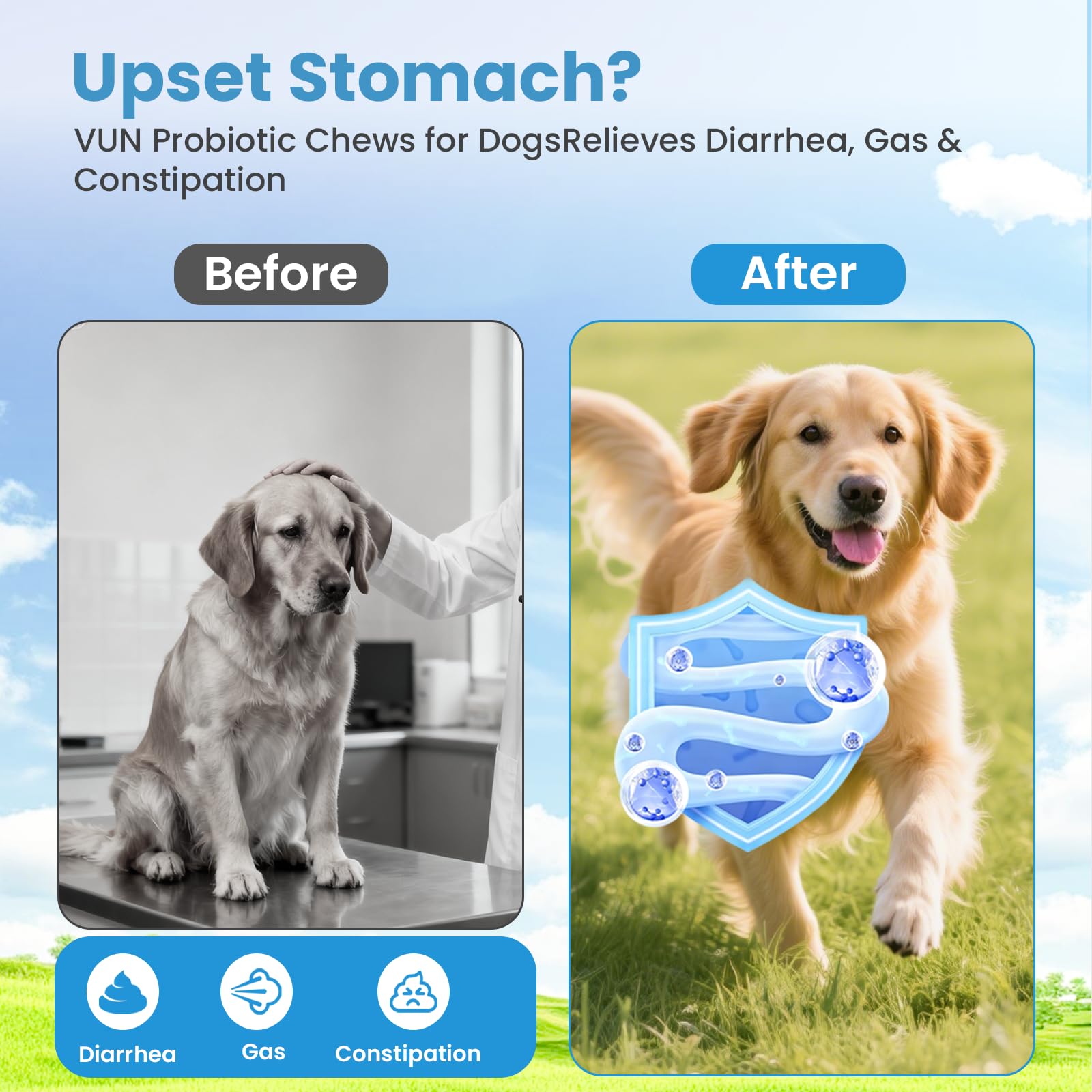 VUN chien prenant la friandise en main pour administration simple