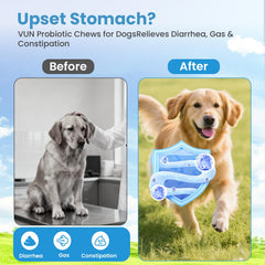 VUN chien prenant la friandise en main pour administration simple