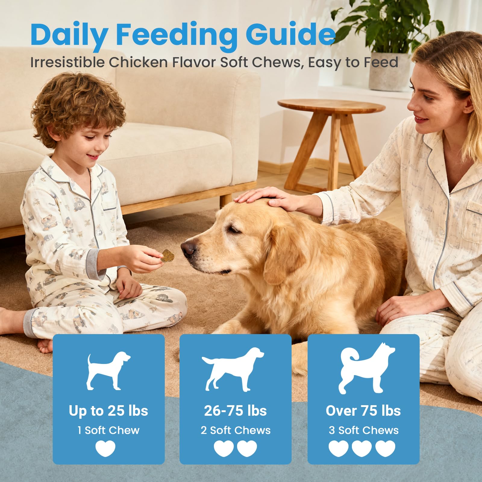 VUN scène lifestyle chien heureux après prise, confort digestif visible
