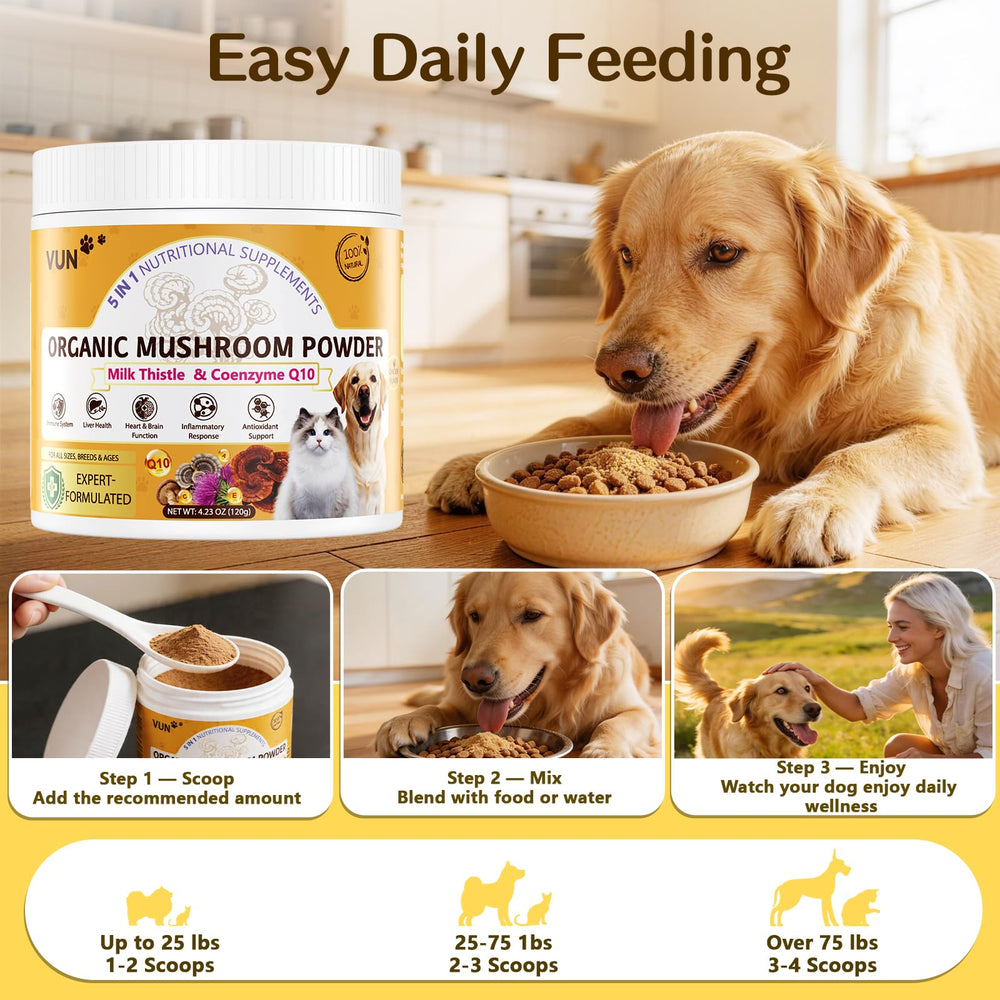 VUN chien actif dans jardin illustrant vitalité et bien-être général