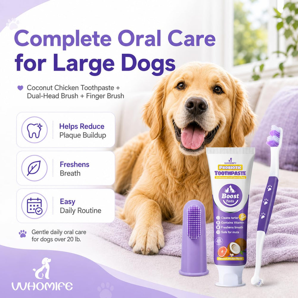 VVHOMIFE échelle taille comparaison montrant adaptés aux chiens moyens