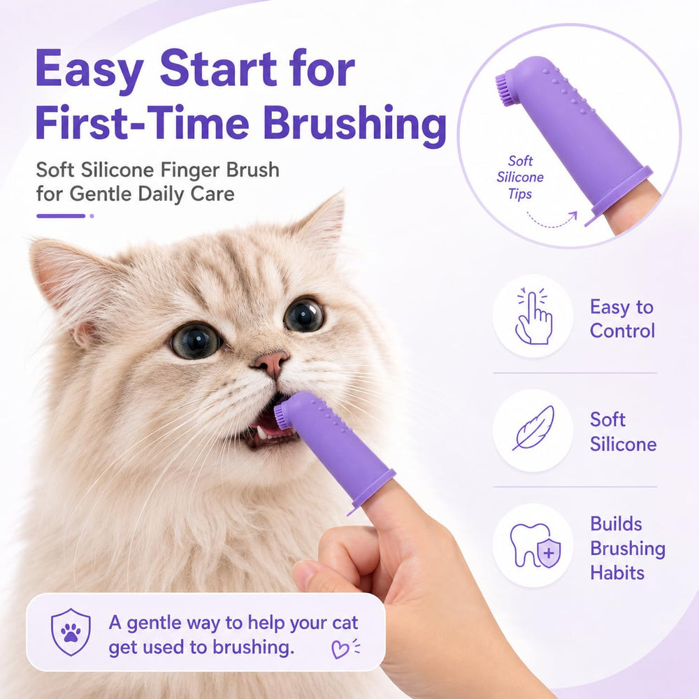 VVHOMIFE chat pendant le brossage illustrant routine calme et sécurisante