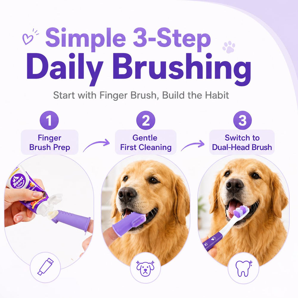 VVHOMIFE kit en usage brossage chien montrant facilité d'utilisation