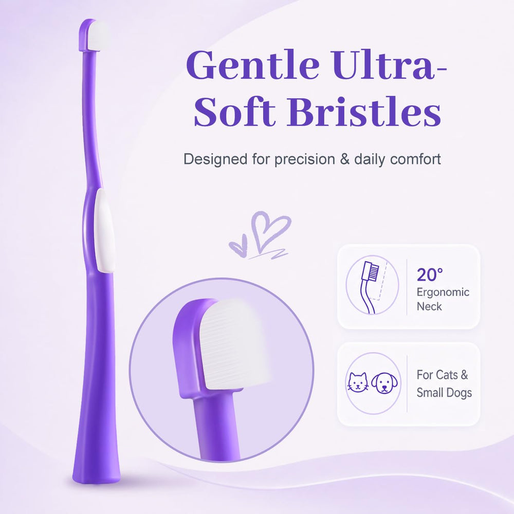 VVHOMIFE tête compacte gros plan montrant l'accès facile aux petites dents