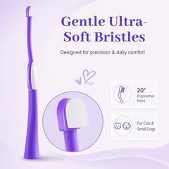 VVHOMIFE tête compacte gros plan montrant l'accès facile aux petites dents