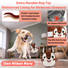 VYsTN comparaison taille avec chien montrant échelle pratique
