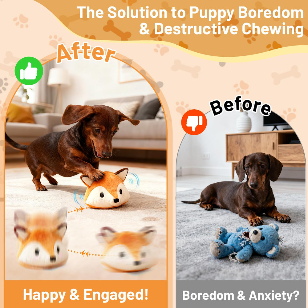 VYsTN Foxy en action rebondit pour stimuler jeu et exercice