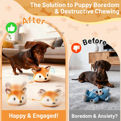 VYsTN Foxy en action rebondit pour stimuler jeu et exercice
