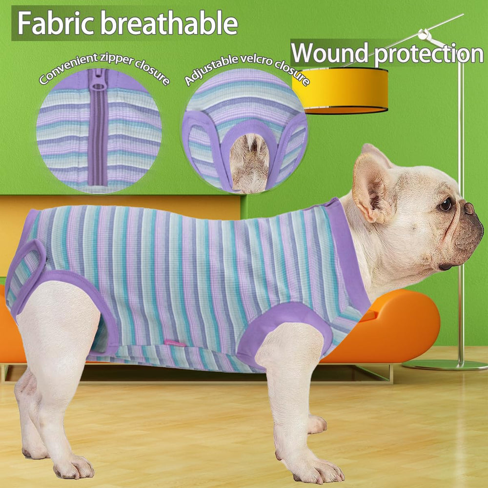 Wabdhaly chienne allongée portant la combinaison pour repos sécurisé