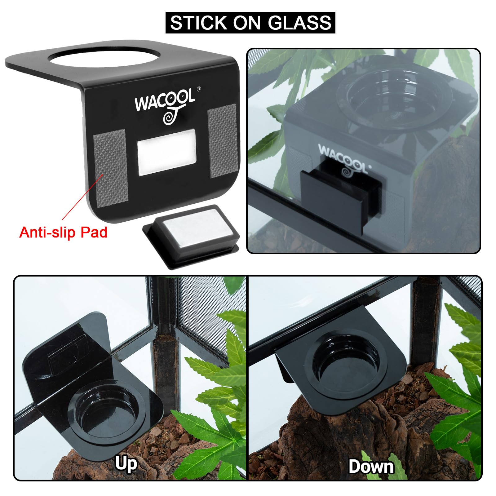 WACOOL six coupelles montrant organisation des nourritures et réutilisabilité