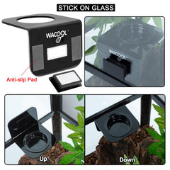 WACOOL six coupelles montrant organisation des nourritures et réutilisabilité