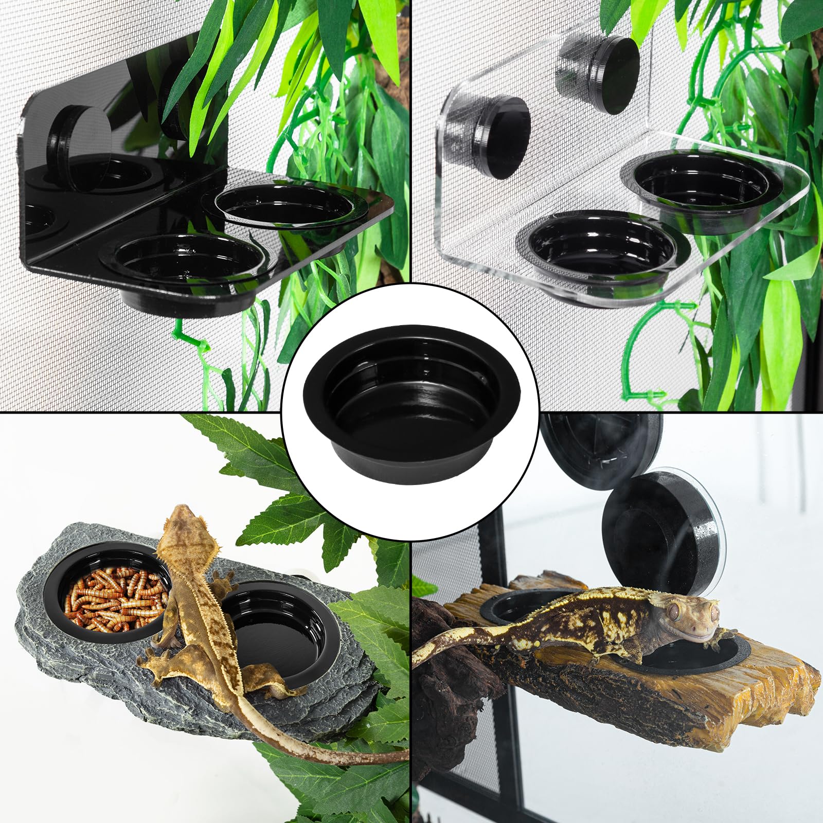 WACOOL mise en place dans terrarium montrant installation simple et gain de place