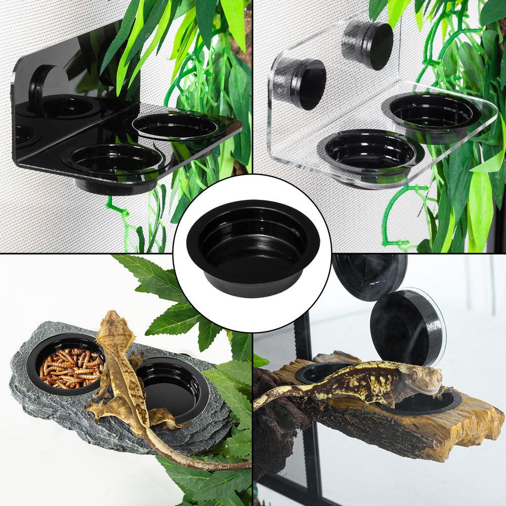 WACOOL mise en place dans terrarium montrant installation simple et gain de place