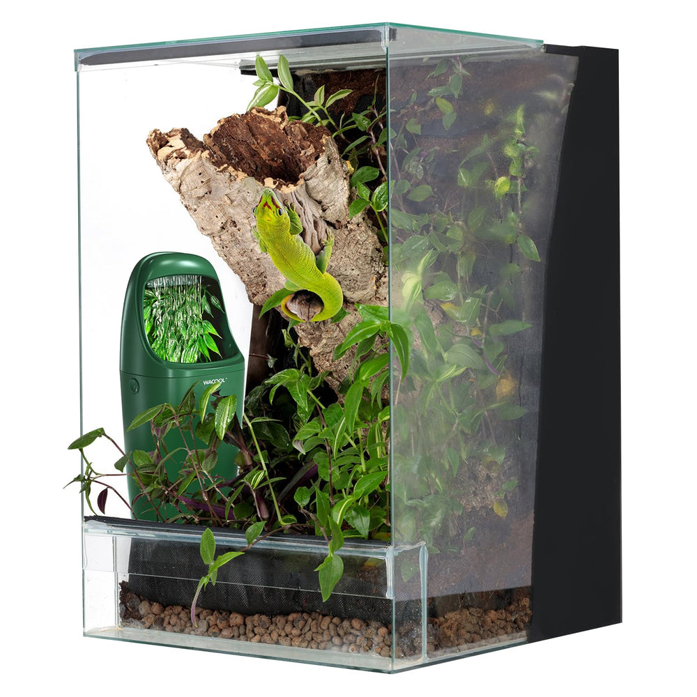 WACOOL TERRA fixation par ventouse et vis, installation stable