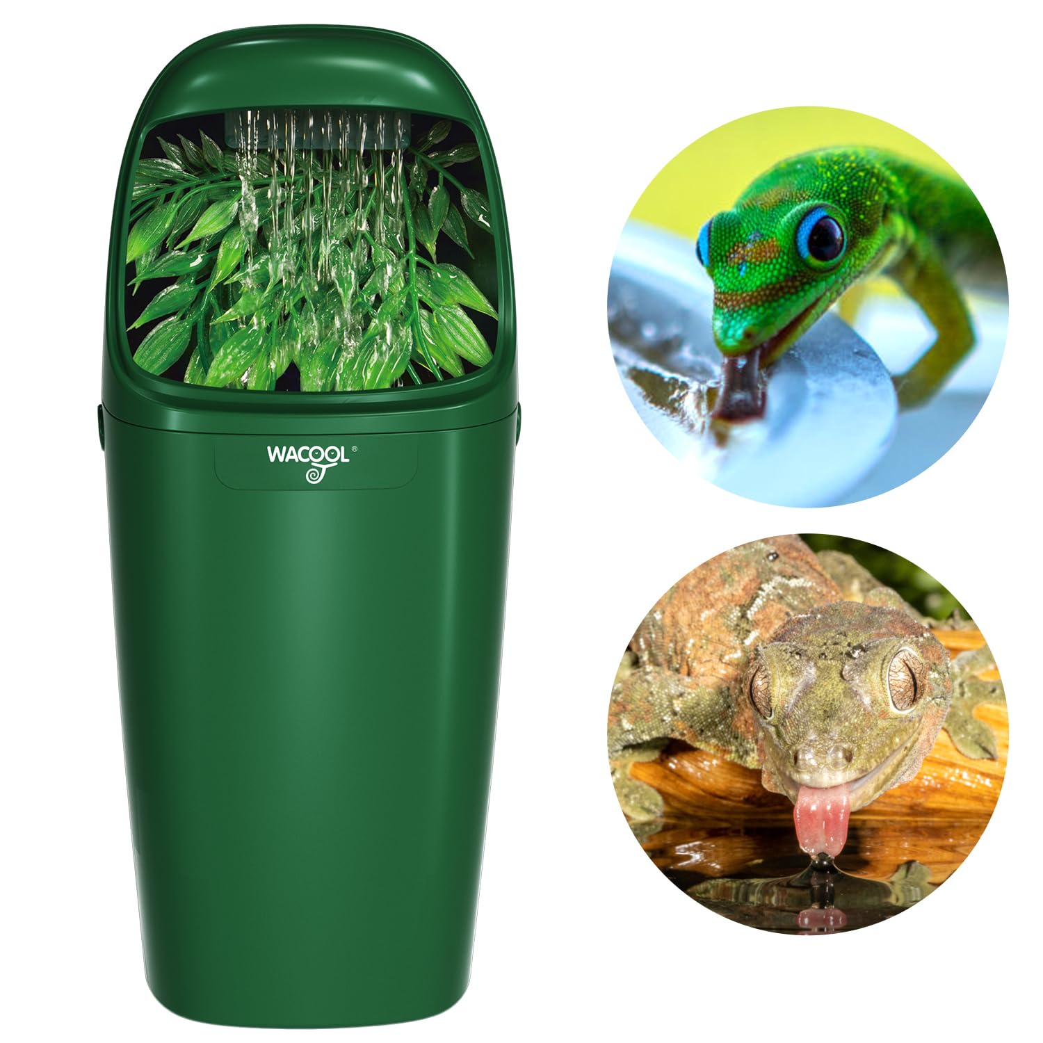 WACOOL TERRA vue frontale dans terrarium, apporte hydratation naturelle