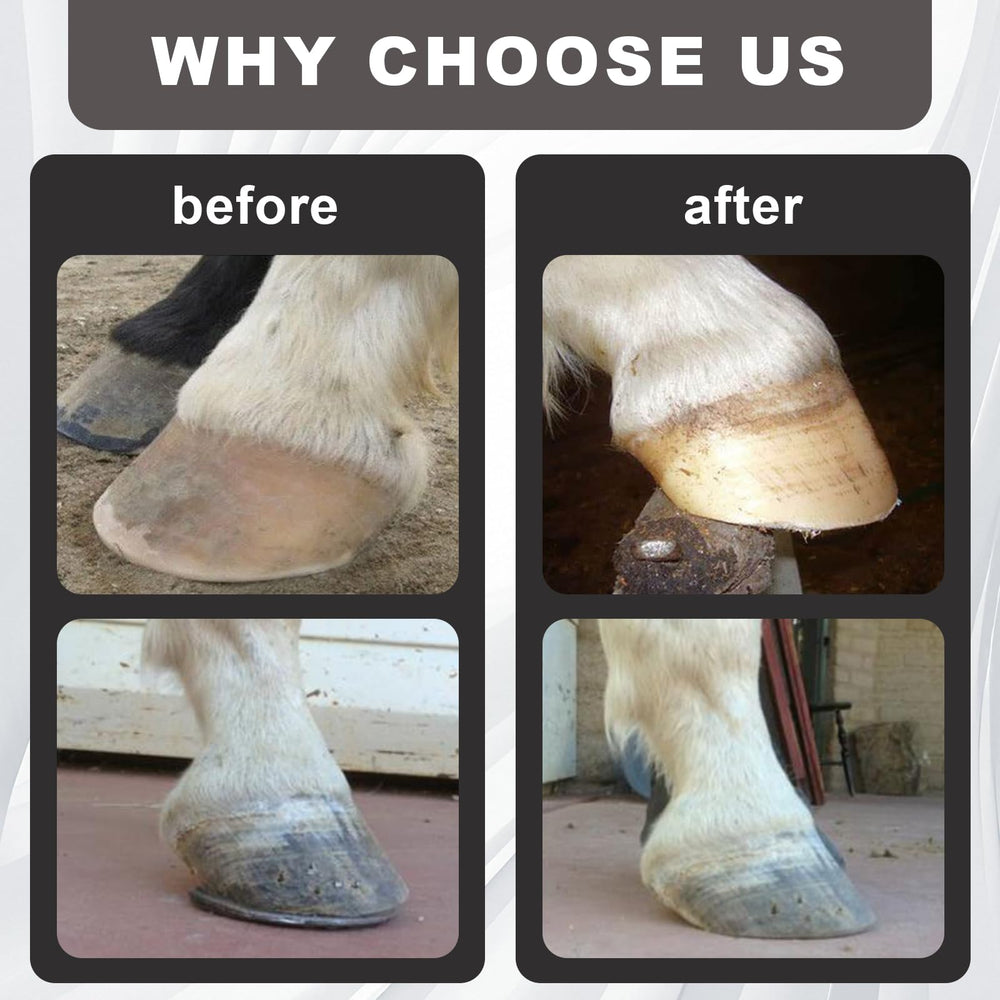 Wadoy mini lime utilisée sur sabot de cheval pour retouche rapide