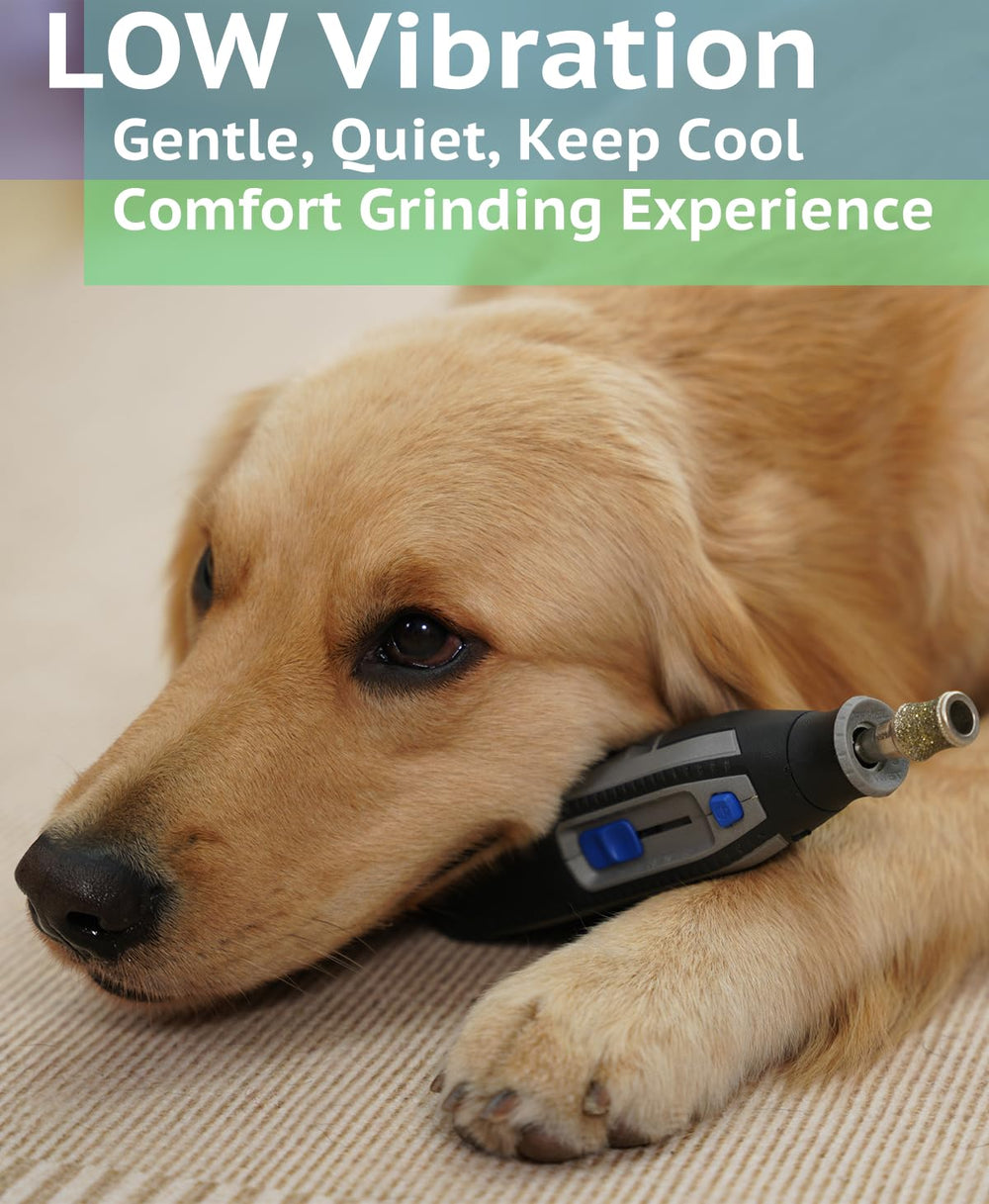 WAGGY DOG packaging et contenu montrant accessoires inclus pratiques