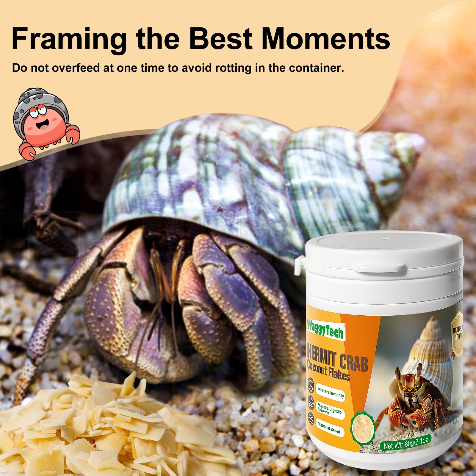 WaggyTech utilisation dans terrarium illustrant acceptation par l'animal
