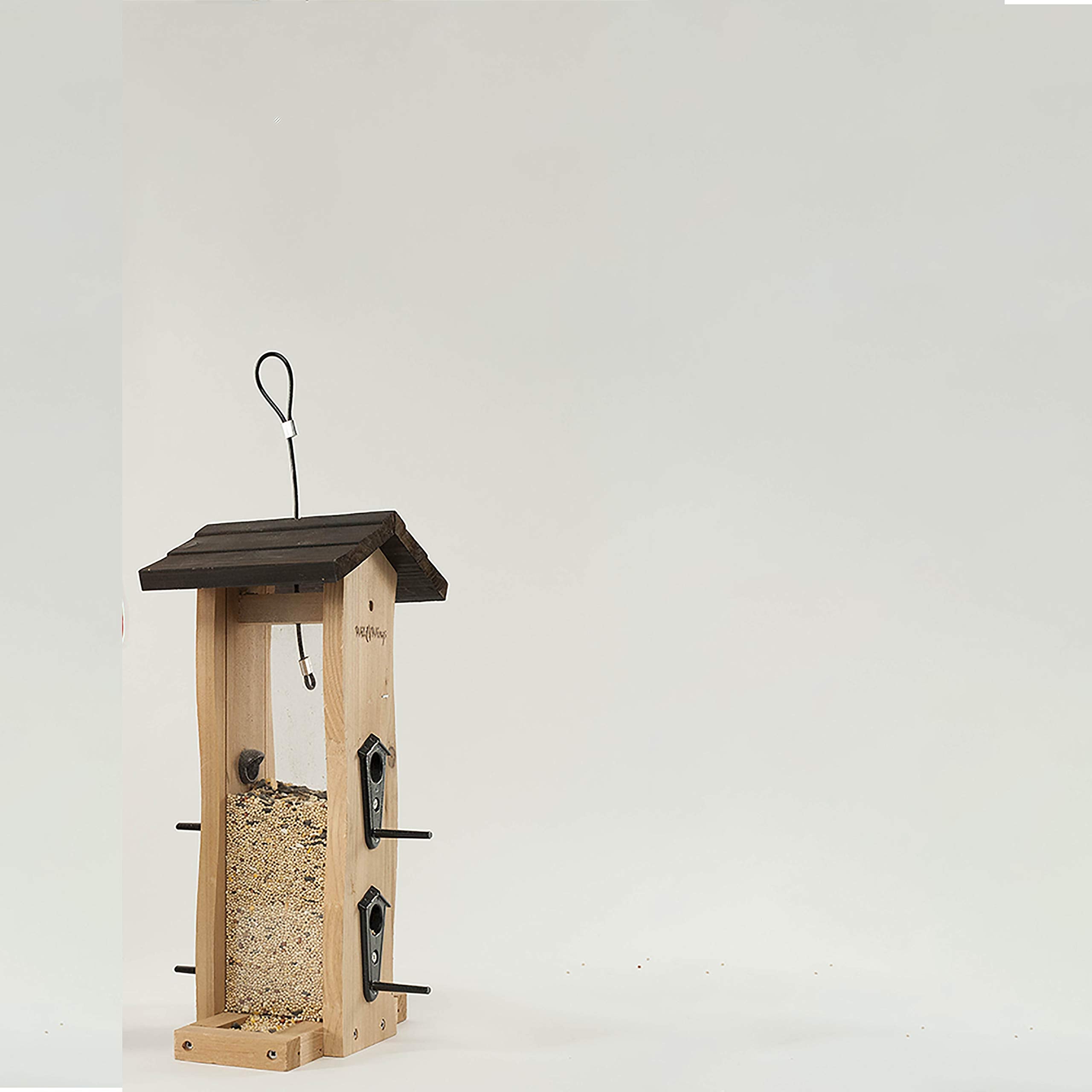 Wagner's cardinal se nourrissant illustrant attraction des espèces locales