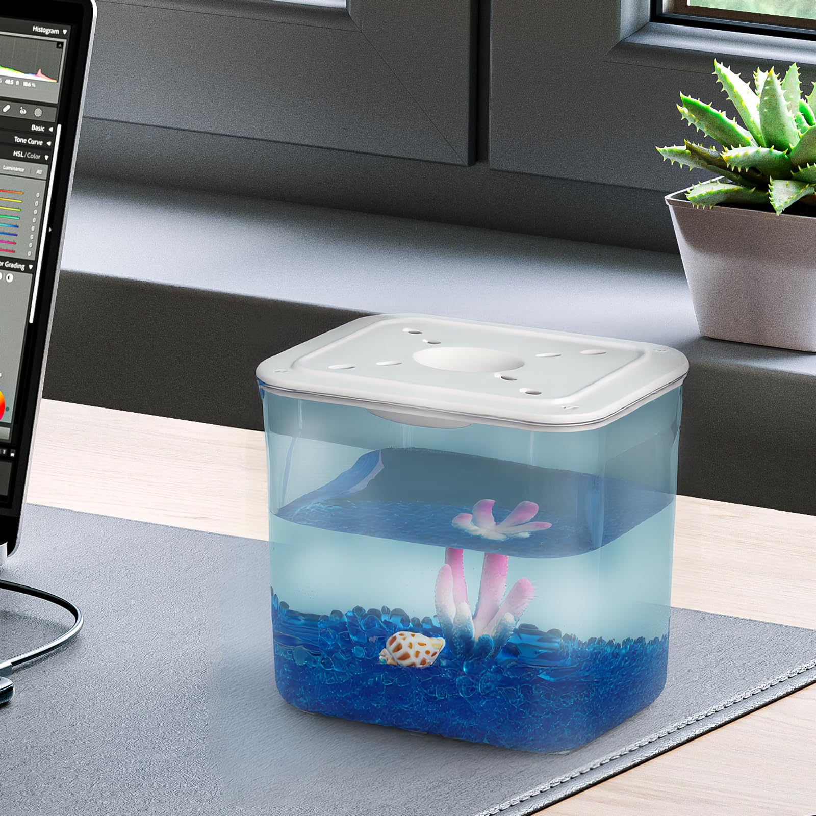 Wagrvuy comparaison taille main, échelle compacte pour bureau