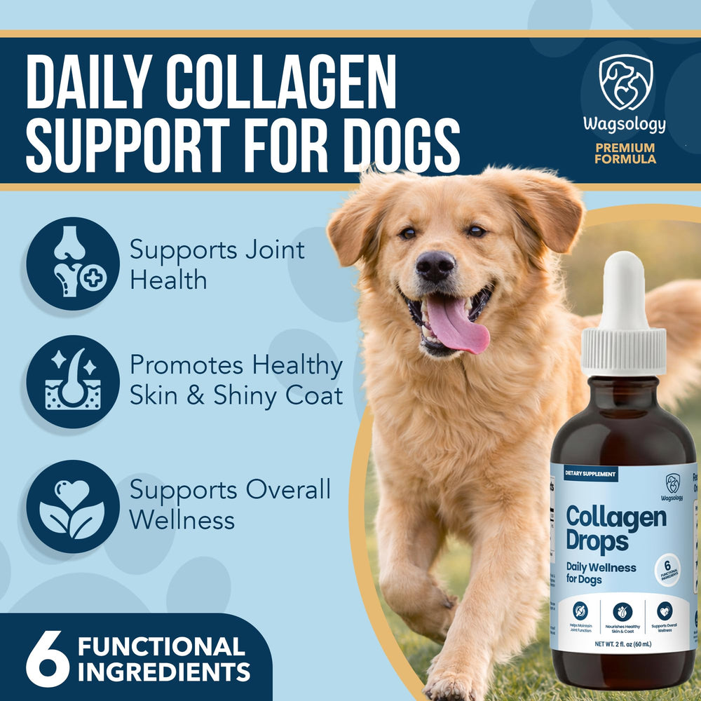 WAGSOLOGY liquide translucide illustrant absorption rapide et appétence