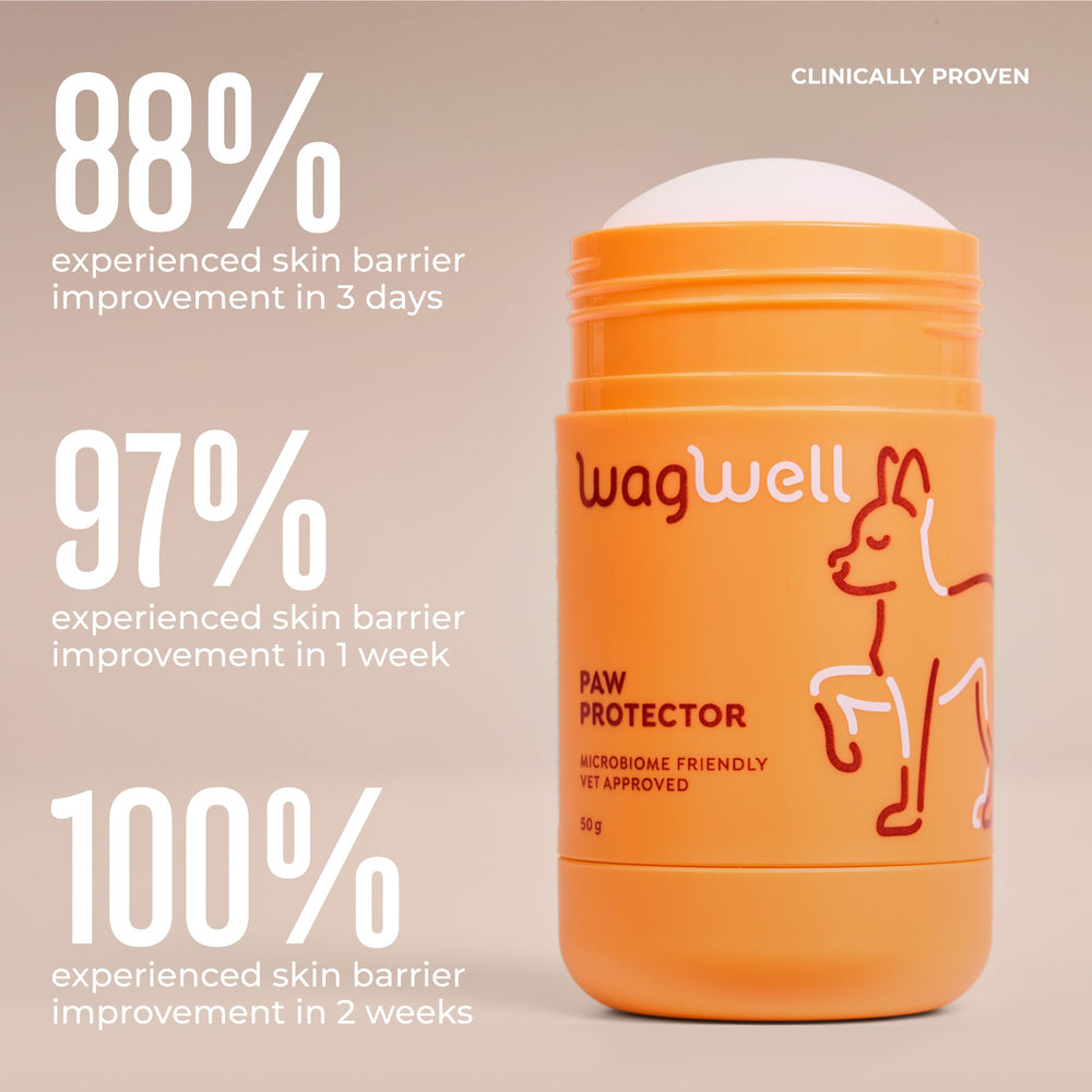 WagWell application sur pattes en extérieur protège contre surfaces chaudes