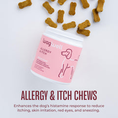 WagWell gros plan sur la texture du masticable pour appétence accrue