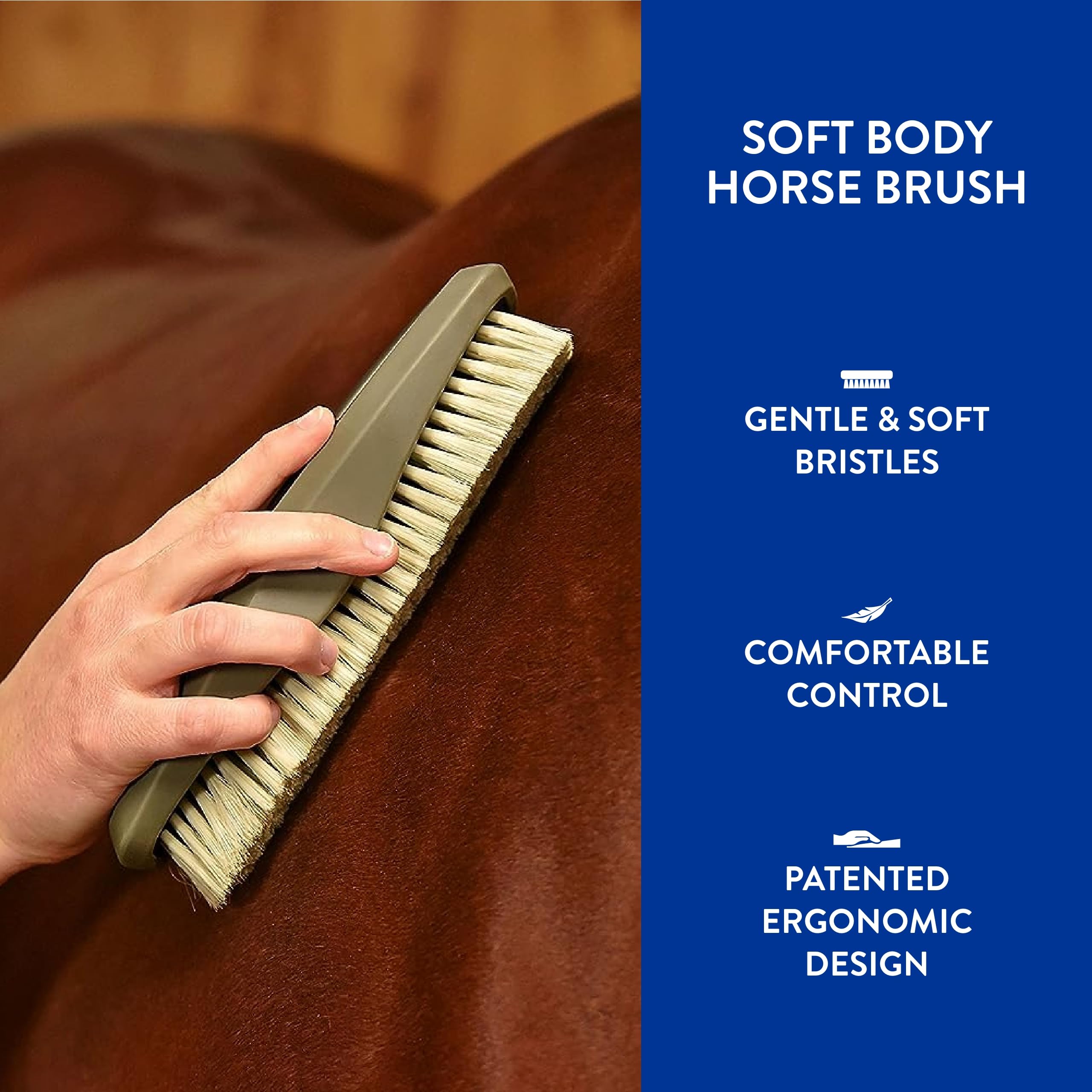 Wahl brosse en usage sur un cheval réduisant la poussière et les poils morts
