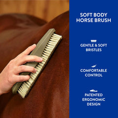 Wahl brosse en usage sur un cheval réduisant la poussière et les poils morts