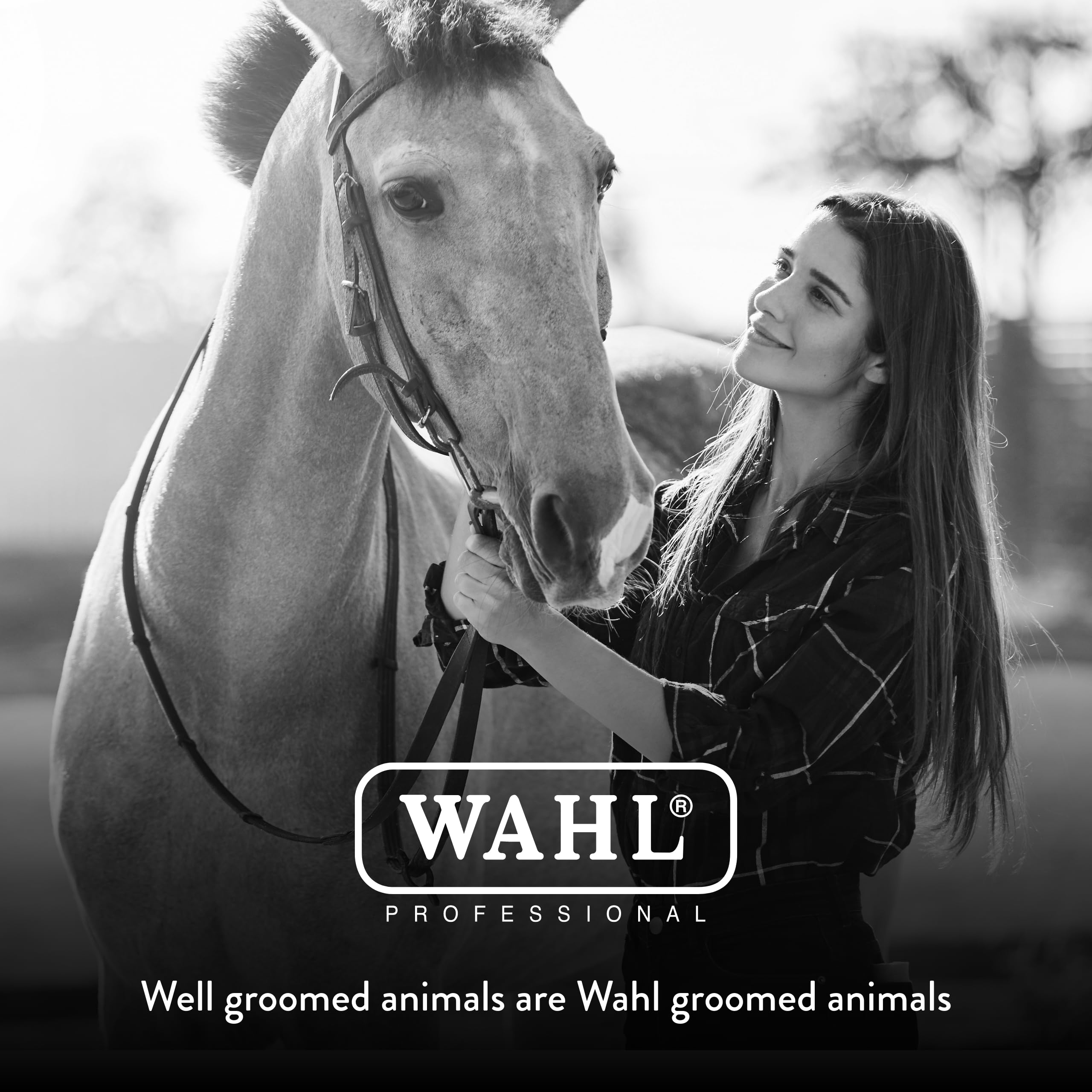 Wahl brosse dans une sellerie montrant une solution de pansage complète