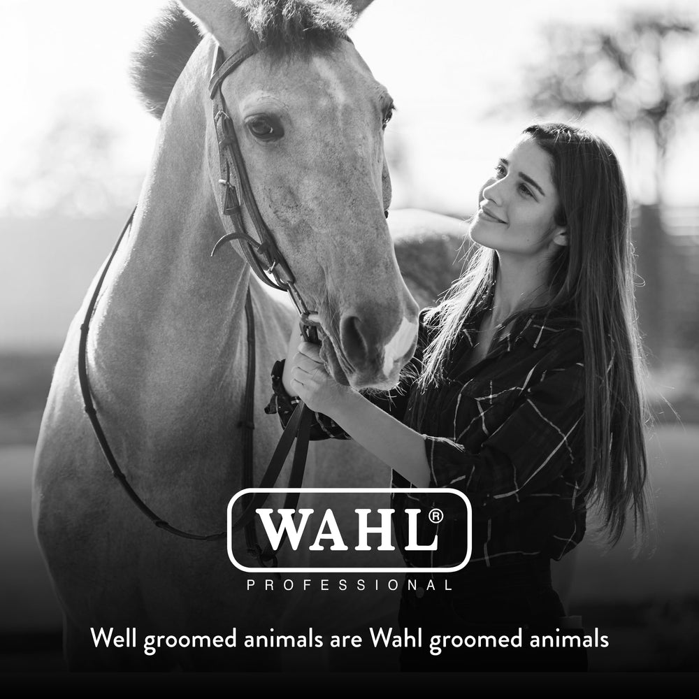 Wahl brosse dans une sellerie montrant une solution de pansage complète