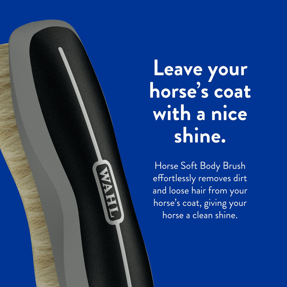 Wahl brosse posée à côté d’une main pour voir l’échelle pratique