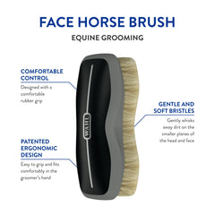 Wahl gros plan poils de la brosse montrant la texture douce pour finition brillante